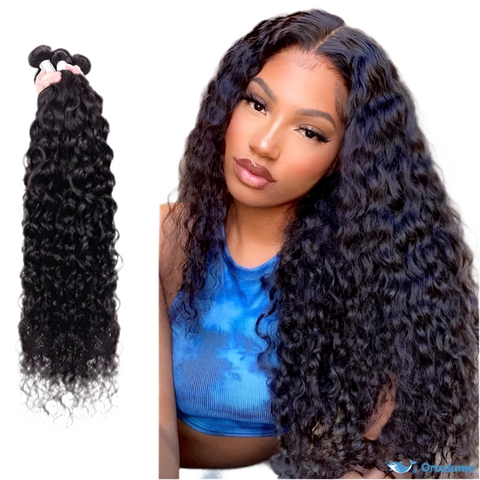 LALAS Hair Water Wave 100% Human Remy Hair Bundles