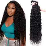 LALAS Hair Water Wave 100% Human Remy Hair Bundles