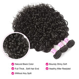 LALAS Hair Water Wave 100% Human Remy Hair Bundles