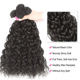 LALAS Hair Water Wave Weave Bundles 3PCS 100% Human Remy Hair