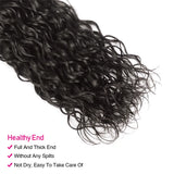 LALAS Hair Water Wave Weave Bundles 3PCS 100% Human Remy Hair