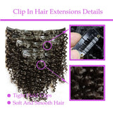 LALAS HAIR Clip-in Jerry Curly – Cheveux Vierge 120g Plein Volume